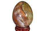 Colorful, Polished Petrified Wood Egg - Madagascar #172517-1